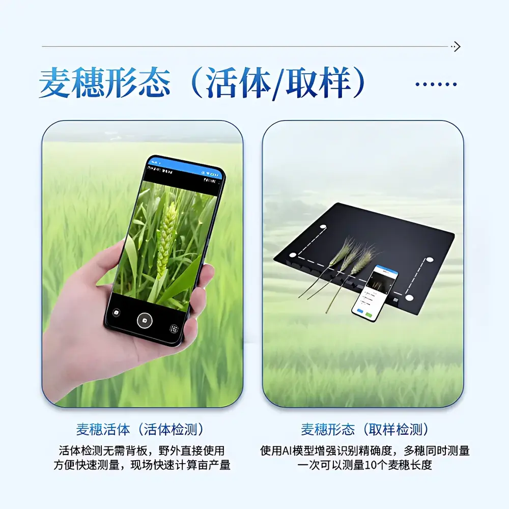 COMECAUSE IN~XM05 Wheat Phenotyping System