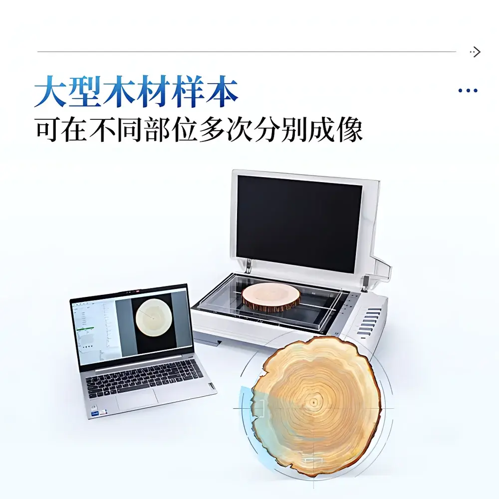 COMECAUSE IN*NL Tree-Ring Analysis System